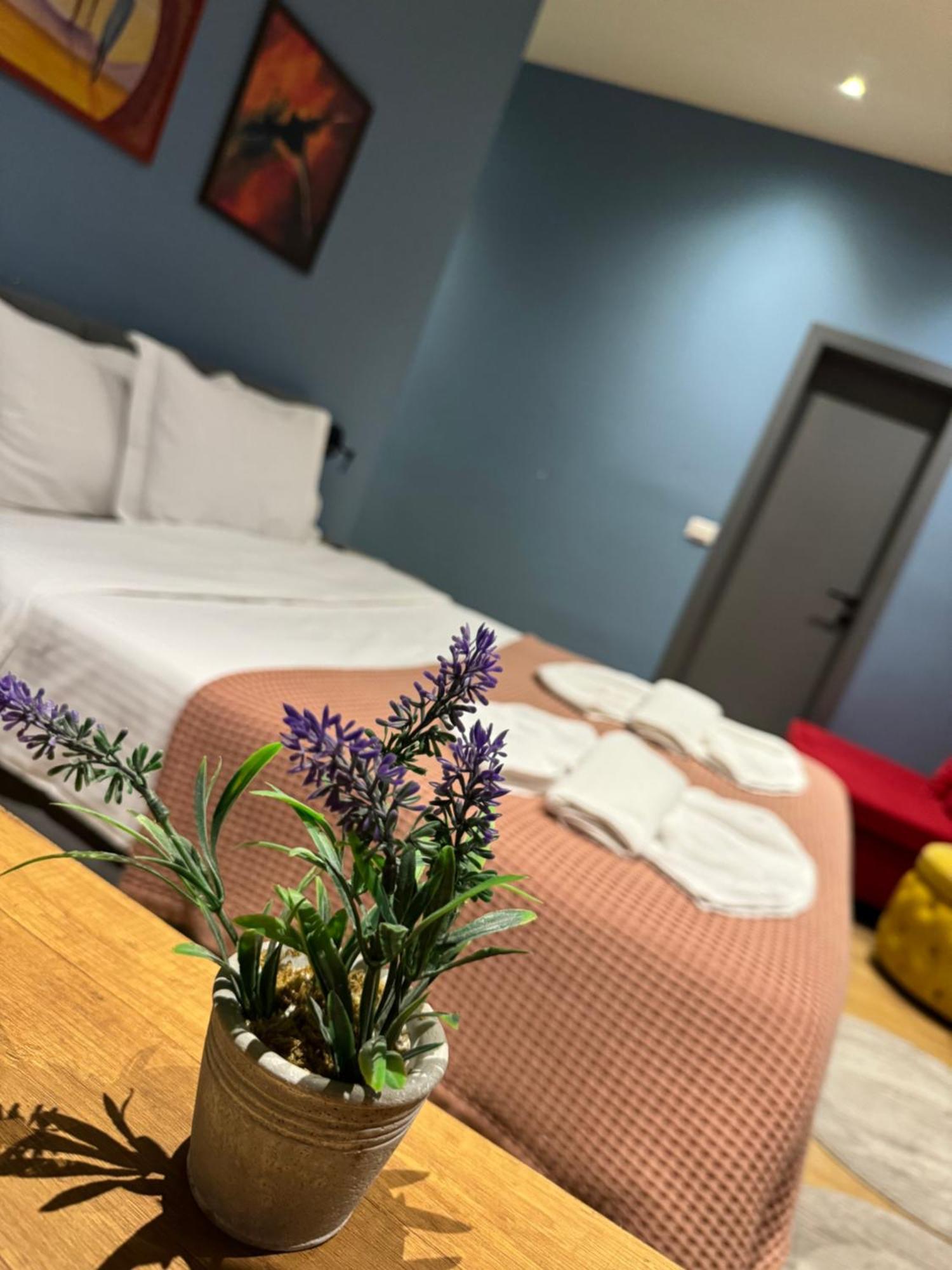 Hotel Tirona 티라나 외부 사진